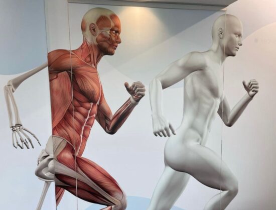 Be tech | Be pelvic