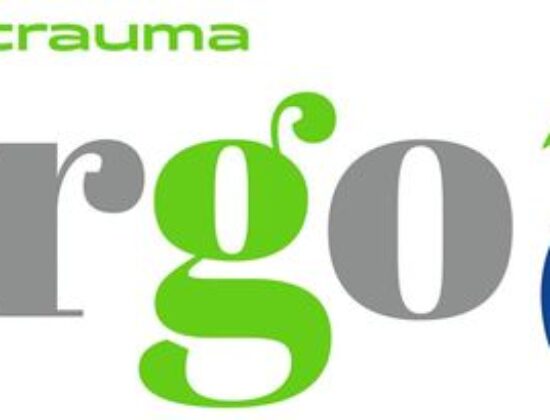 Ergo FisioTrauma
